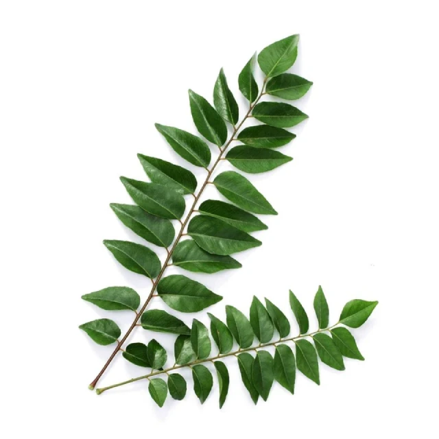 Curry Leafs