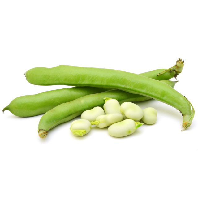 Chikkudukaya