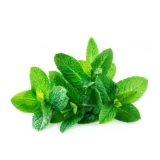 Podina