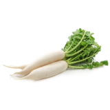 Radish white / Radish Red