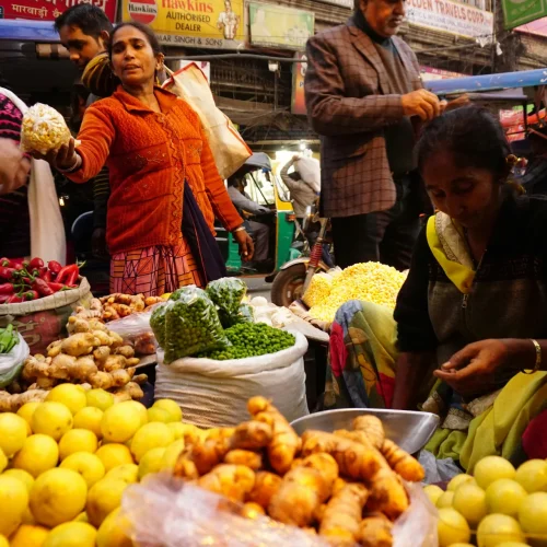 Cultivating Change: How BhuAkshaya is Driving Rural Growth Through Women Empowerment